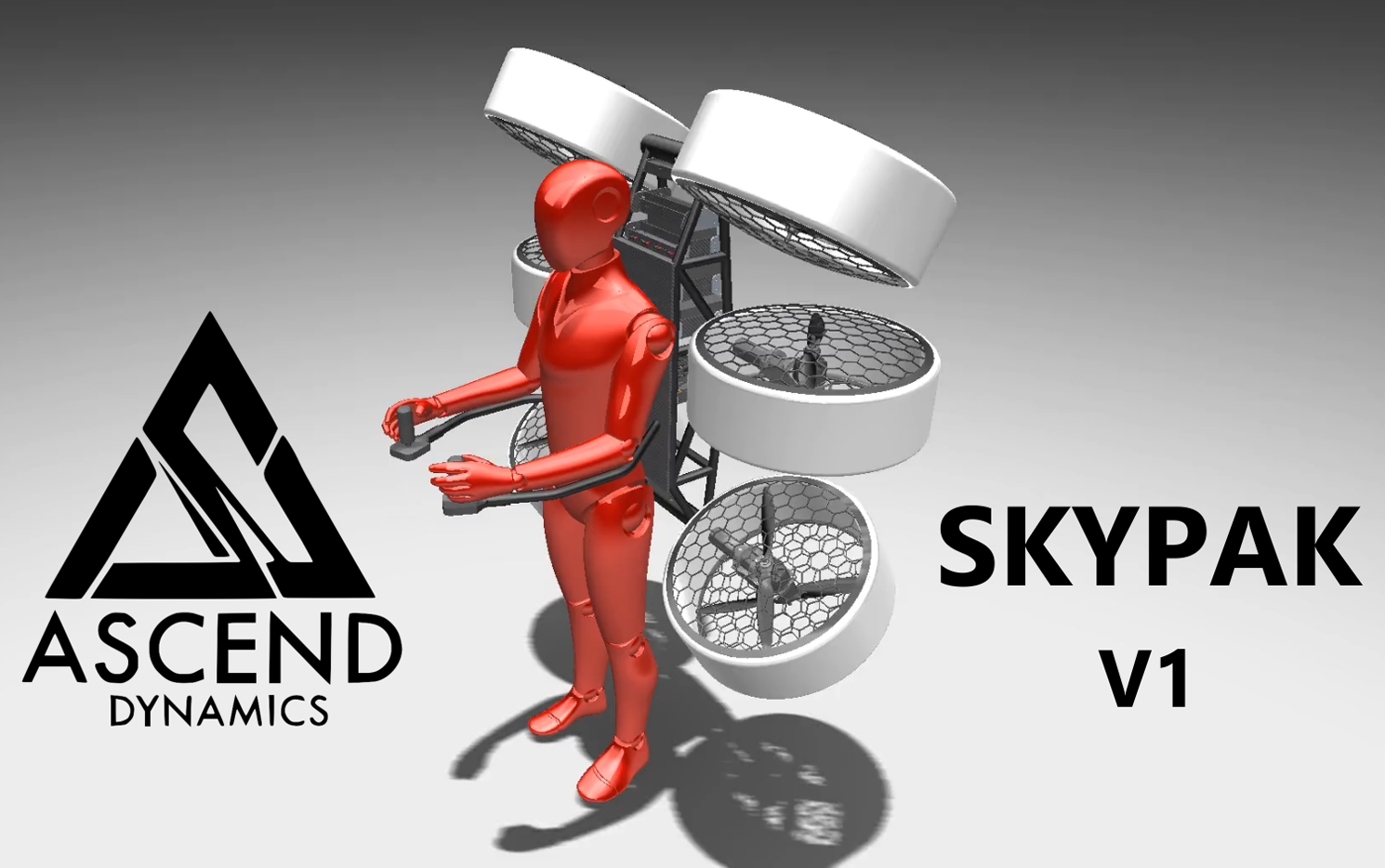 SkyPak V1 future version SkyPak V1 future version